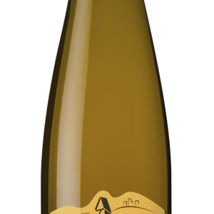 Bruno-Hertz_RIESLING-Vielles-Vignes