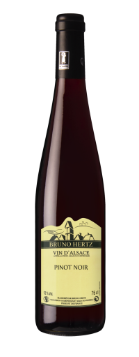 Bruno-Hertz_PINOT-NOIR
