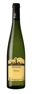 Sylvaner 2024