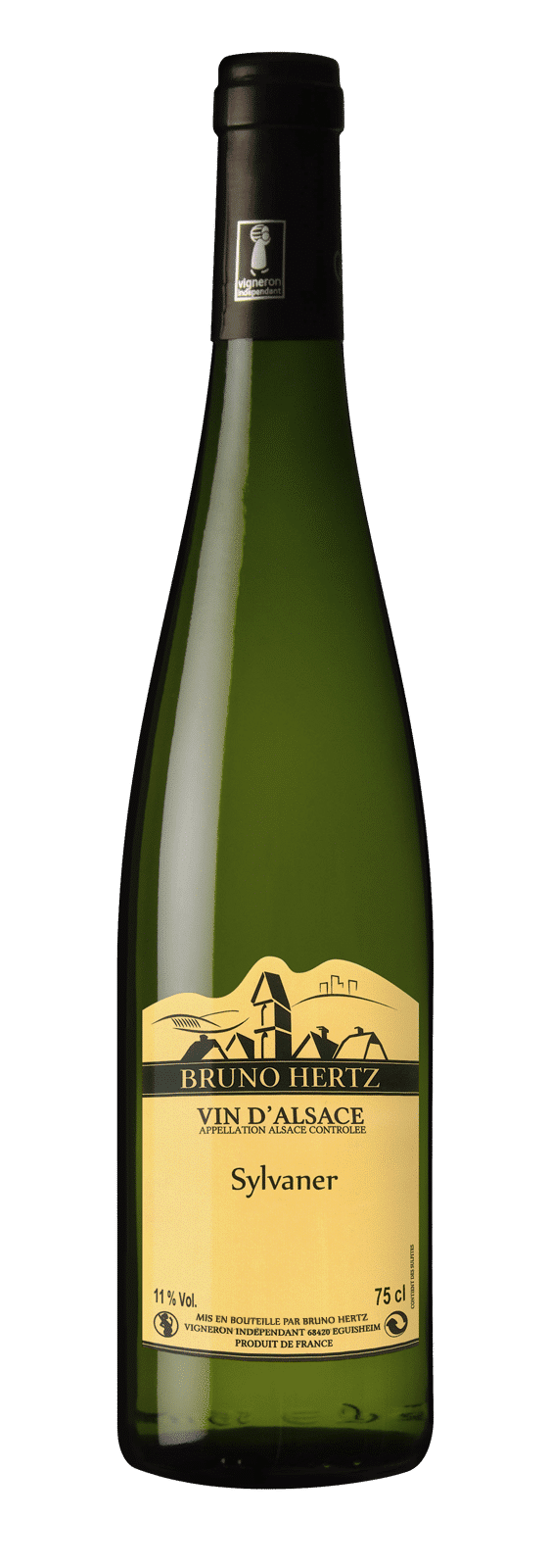 Sylvaner 2024